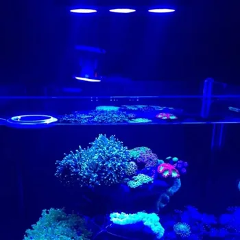 2020 LED Acuario Luz 30W Interior del Acuario LED de Luz de agua Salada de Iluminación con Control Táctil para Peces de Arrecife de Coral del Tanque de la UE Enchufe de EE.UU.