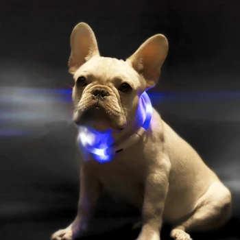Pet luminoso collar Anti-mascota perdida de iluminación LED de advertencia de carga USB Led Collar de Perro Collar de Perro Personalizado de Seguridad Para Mascotas